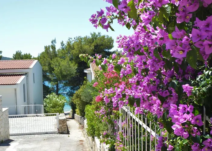 Appartement Rose-2 By Interhome Zaboric