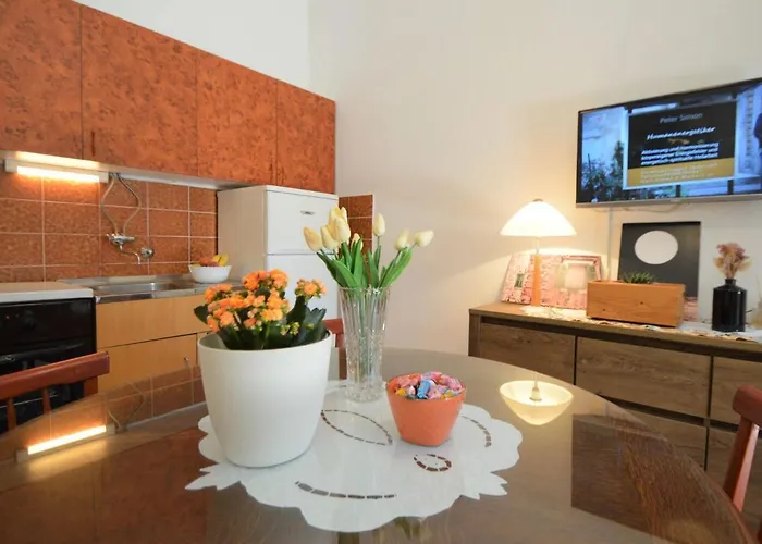 Rose-2 By Interhome Appartement Zaboric